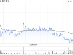 赣锋锂业：赣锋锂电拟向深圳易储提供不超过5亿元的财务资助