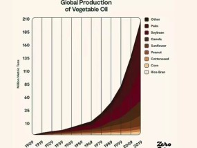 第二项医学研究再次表明，数百万英国人使用的食用油与癌症有关