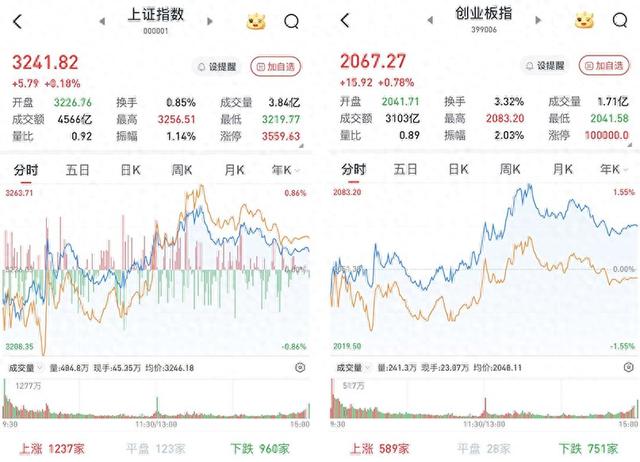 A股低开高走震荡收涨：半导体全线走强，小红书概念大幅回调