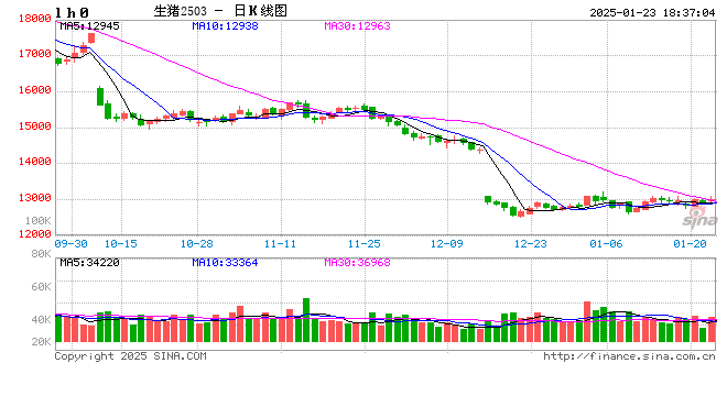 生猪现货日报|全国均价15.29元/公斤 仔猪价格持续逆势上涨 全国仔猪均价连涨三周